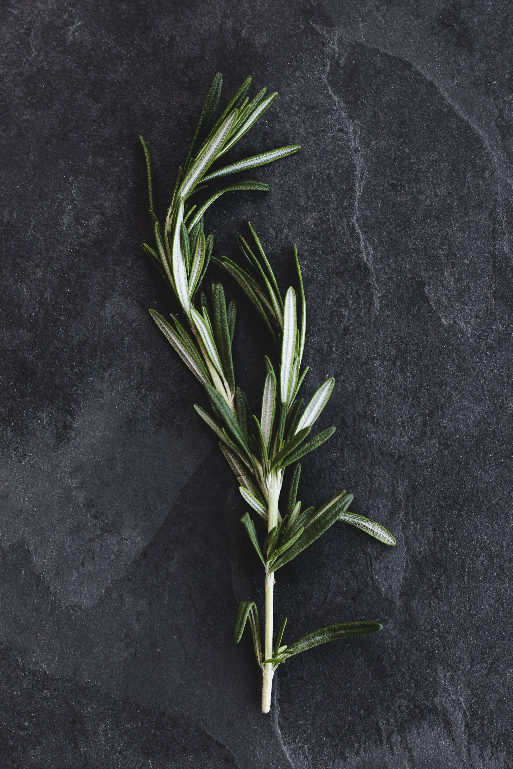 Rosemary Oil for Hair | Clean Haircare Rooted in Nature